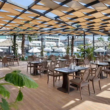 Sherwood Blue - Adults Only ベレキ