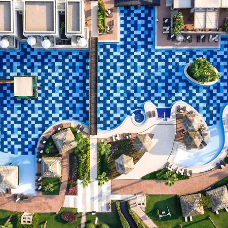 Sherwood Blue - Adults Only