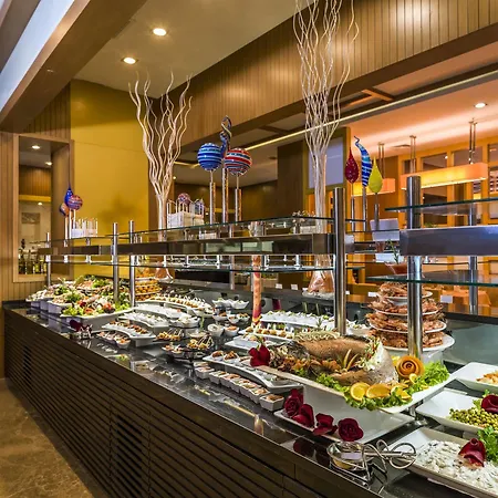 Sherwood Blue - Adults Only