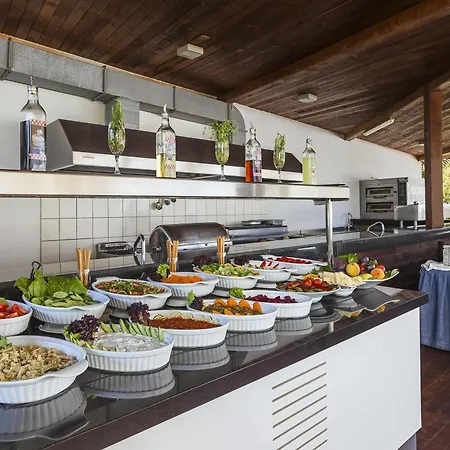 Sherwood Blue - Adults Only